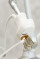 ЛАЗЕР ФРАКЦІЙНИЙ CO2-60W Dollimax